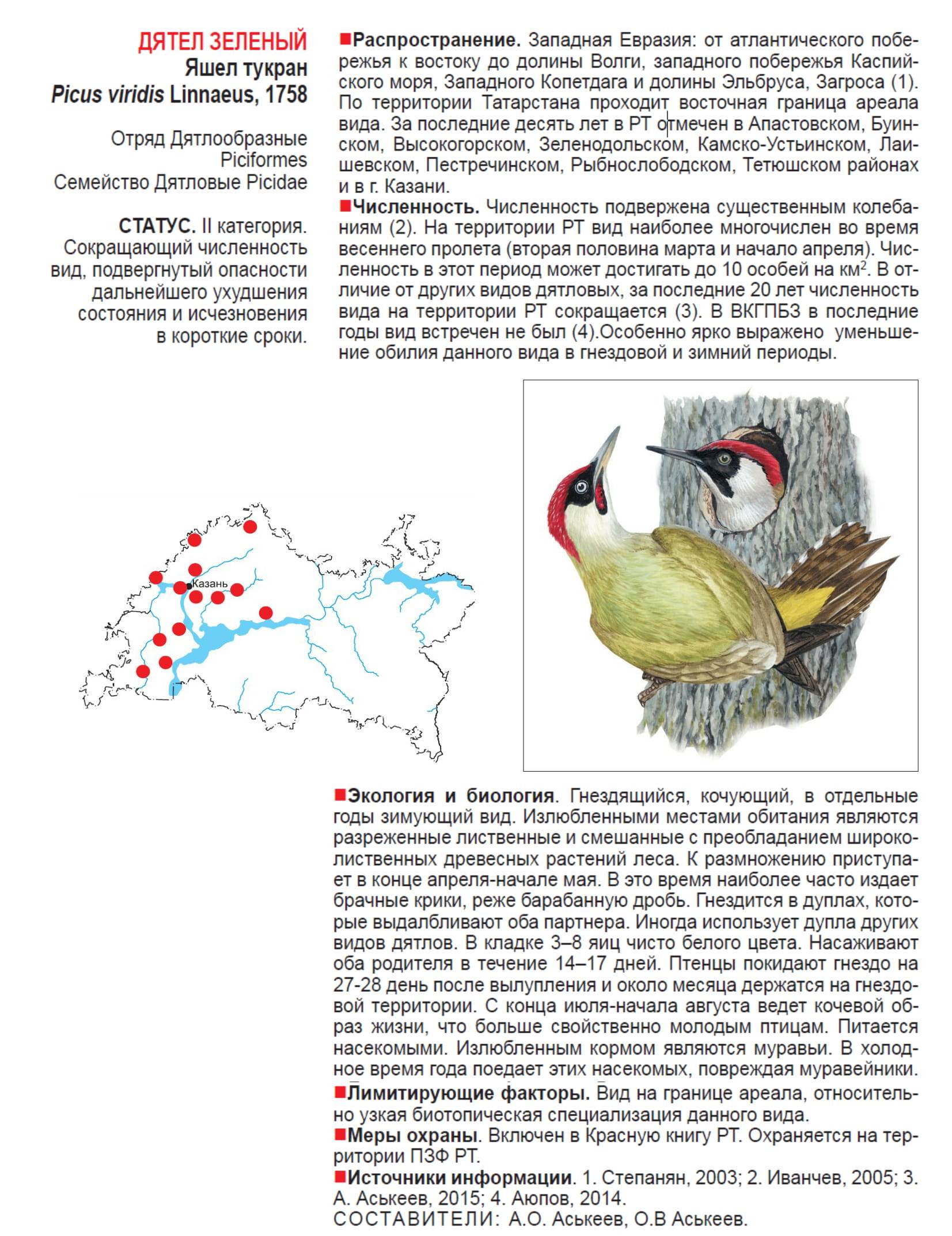 Прочитайте описание экологии некоторых видов дятлов. Красная книга Татарстана зеленый дятел. Зеленый дятел ареал обитания. Зелёный дятел красная книга. Зелёный дятел ареал.