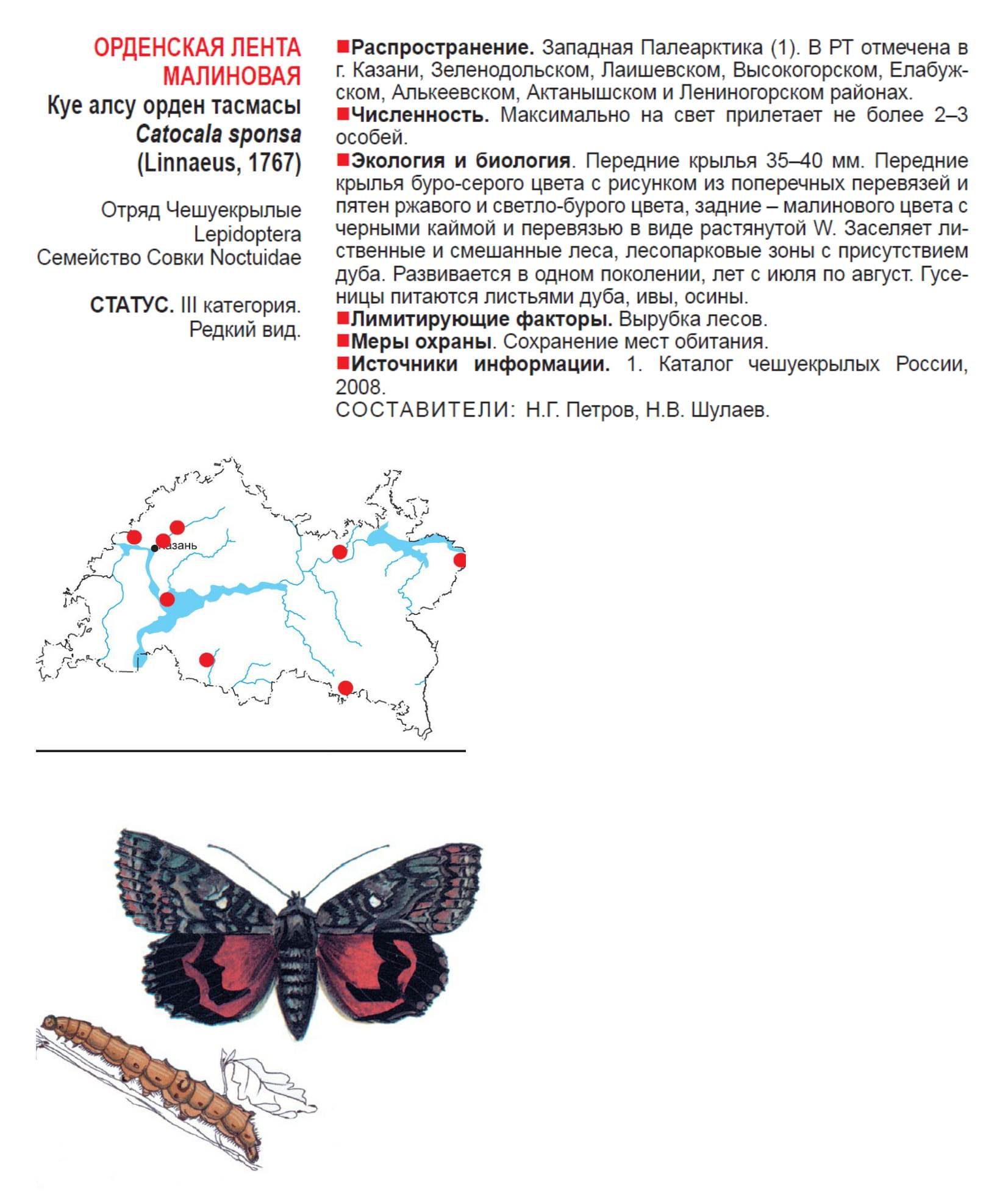 Малиновая орденская лента