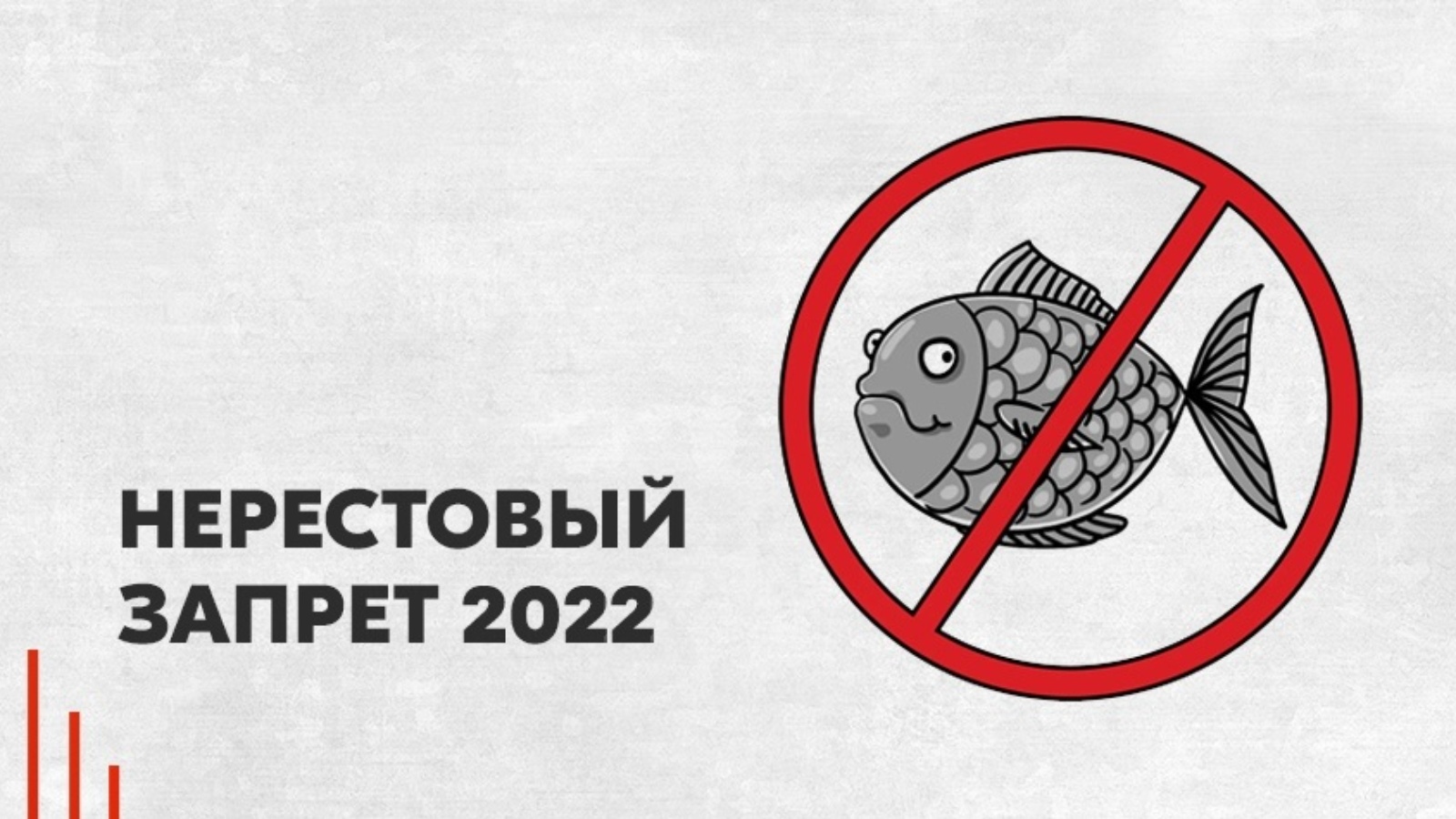 Запрет на рыбалку в 2021 году: до какого числа запрещена …